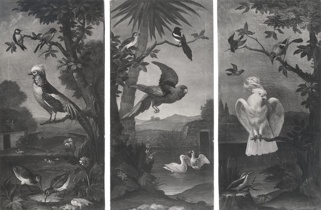 Vasari — Anonimo fiammingo-olandese sec. XVII/ XVIII - Uccelli in un paesaggio — insieme